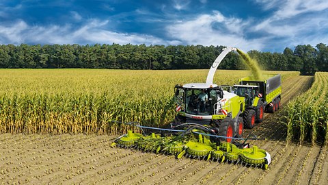 Maize harvester sale